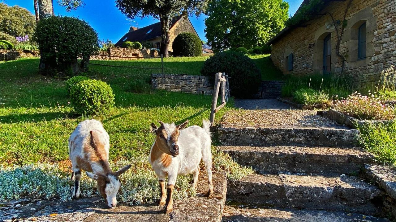 Villa Hameau Du Sentier Des Sources à Sarlat Extérieur photo